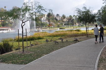 Enlarge photo 12