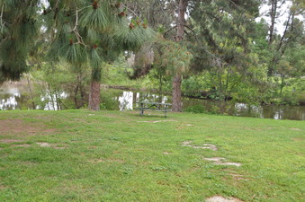Enlarge photo 10