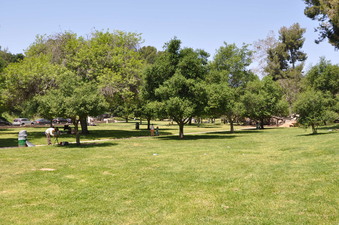 Enlarge photo 19