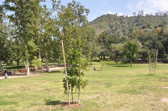 Enlarge photo 2