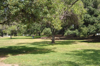 Enlarge photo 11