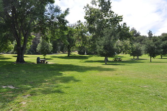 Enlarge photo 14