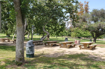 Enlarge photo 16