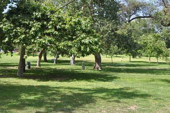 Enlarge photo 18