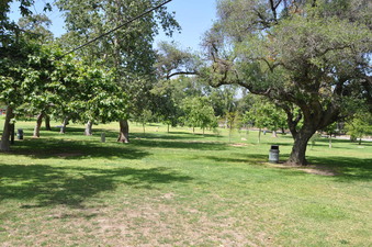 Enlarge photo 19