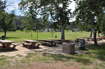 Enlarge photo 20