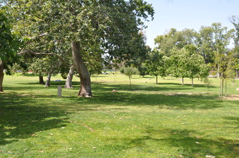 Enlarge photo 23