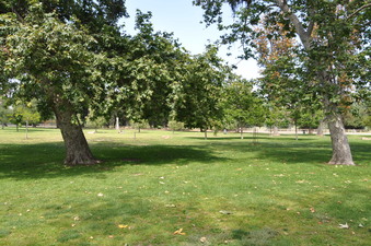 Enlarge photo 24