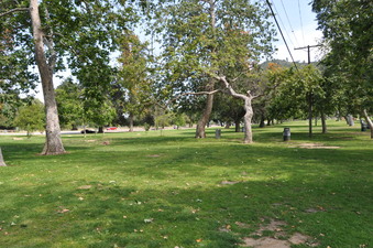 Enlarge photo 25