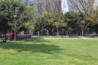 Enlarge photo 3