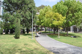Enlarge photo 8