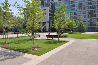 Enlarge photo 16