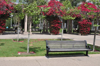 Enlarge photo 19