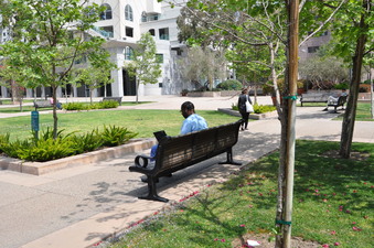 Enlarge photo 21