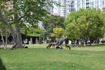 Enlarge photo 22