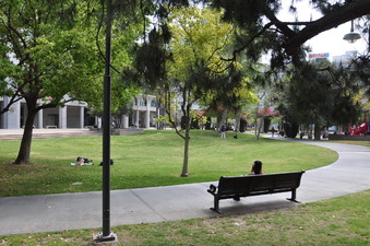 Enlarge photo 24