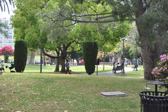 Enlarge photo 26