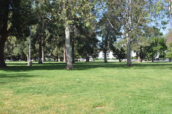 Enlarge photo 34