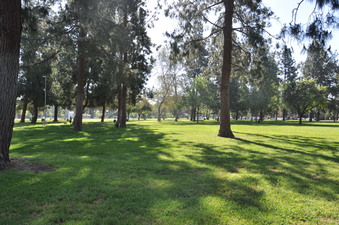 Enlarge photo 47