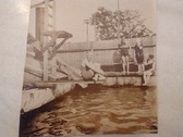 Enlarge photo 116