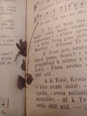 Enlarge photo 112
