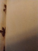 Enlarge photo 91