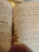 Enlarge photo 132