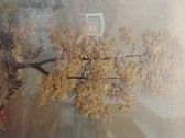 Enlarge photo 97