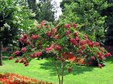 Enlarge photo 46