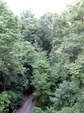 Enlarge photo 47