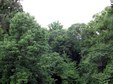 Enlarge photo 49