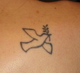 Enlarge photo 53