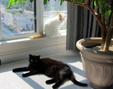 Enlarge photo 42