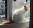 Enlarge photo 41