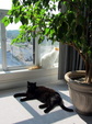 Enlarge photo 44