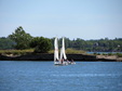 Enlarge photo 61