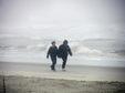 Enlarge photo 41
