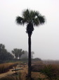 Enlarge photo 99