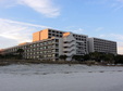 Enlarge photo 81