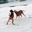 Enlarge photo 29