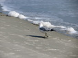 Enlarge photo 94