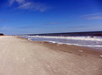 Enlarge photo 95