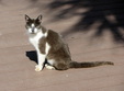 Enlarge photo 90