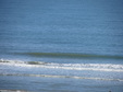 Enlarge photo 105