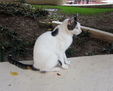 Enlarge photo 71