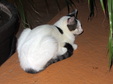 Enlarge photo 76