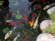 Enlarge photo 18