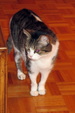Enlarge photo 9