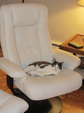 Enlarge photo 14