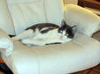 Enlarge photo 13